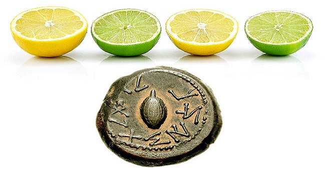 Hur citrusfrukter blev en forntida statusymbol